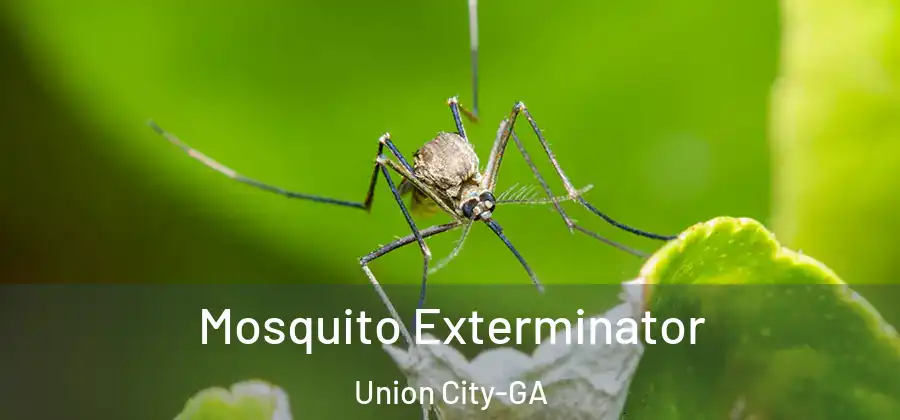 Mosquito Exterminator Union City-GA