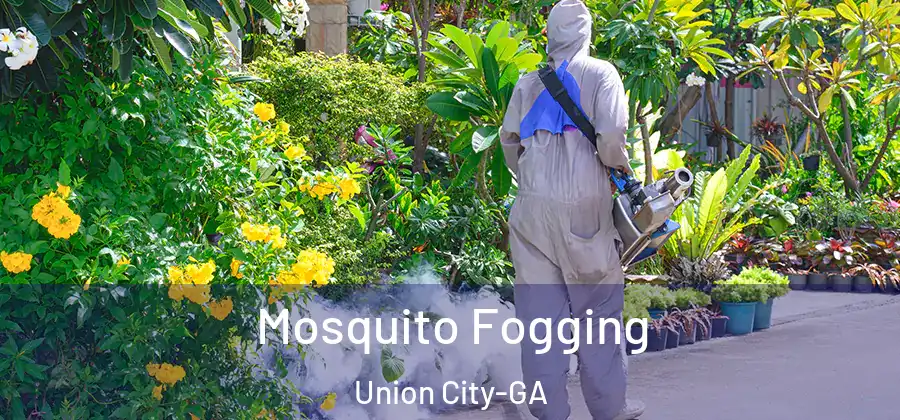 Mosquito Fogging Union City-GA