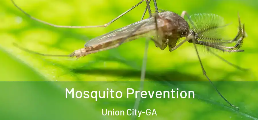 Mosquito Prevention Union City-GA