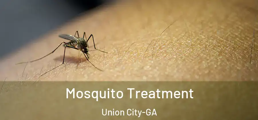 Mosquito Treatment Union City-GA