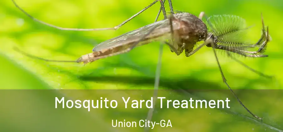 Mosquito Yard Treatment Union City-GA