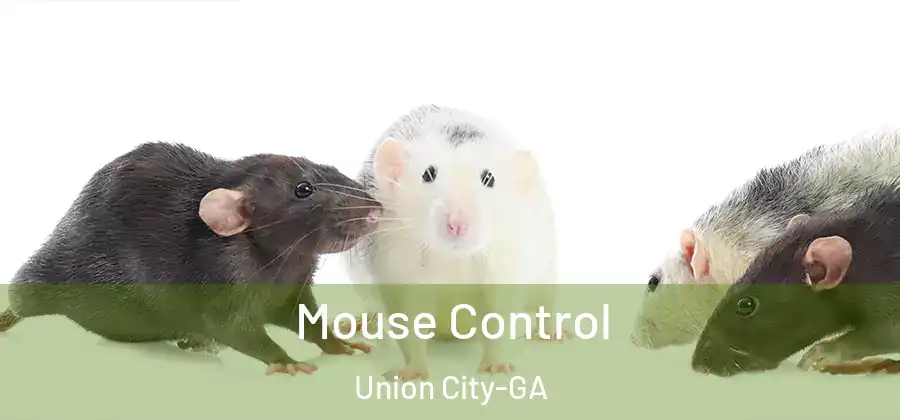  Mouse Control Union City-GA