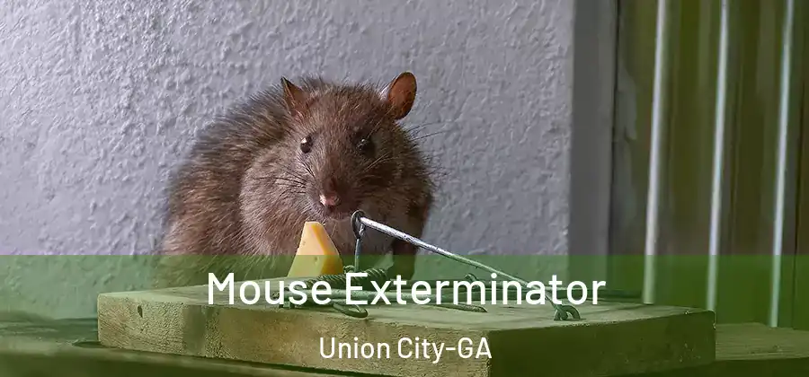 Mouse Exterminator Union City-GA