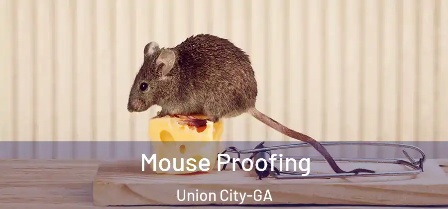 Mouse Proofing Union City-GA