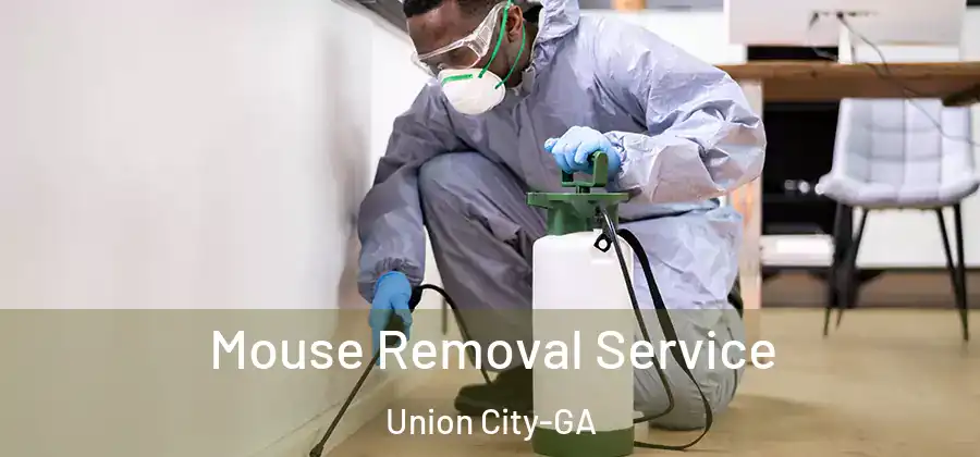 Mouse Removal Service Union City-GA