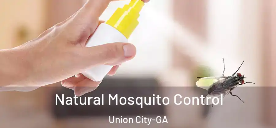  Natural Mosquito Control Union City-GA