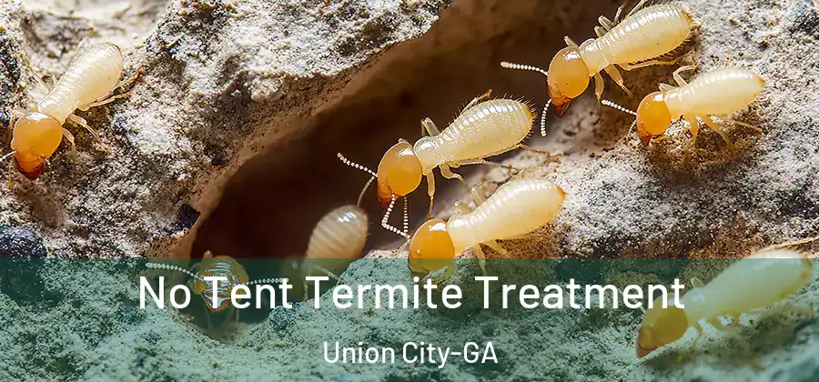 No Tent Termite Treatment Union City-GA