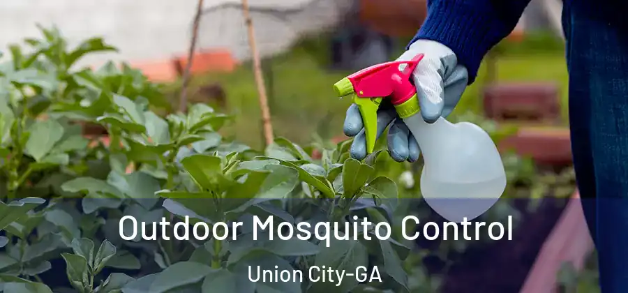 Outdoor Mosquito Control Union City-GA