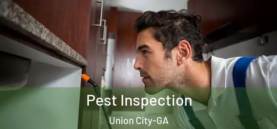 Pest Inspection Union City-GA