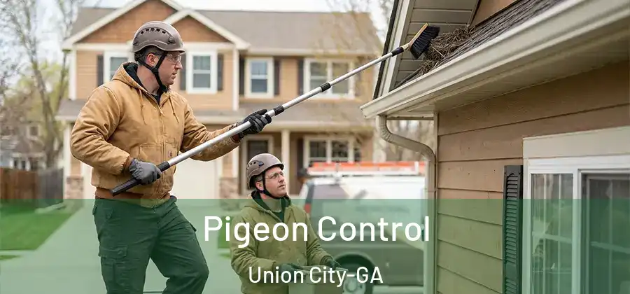 Pigeon Control Union City-GA