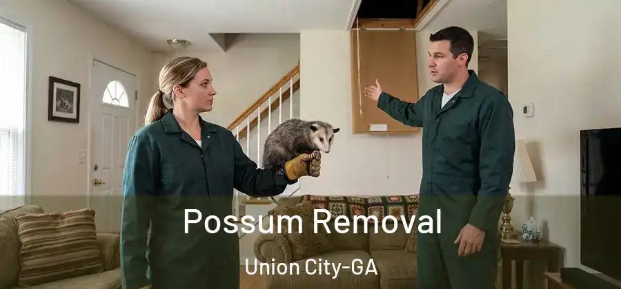Possum Removal Union City-GA