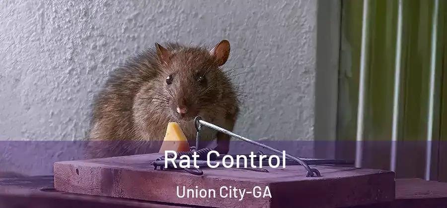 Rat Control Union City-GA