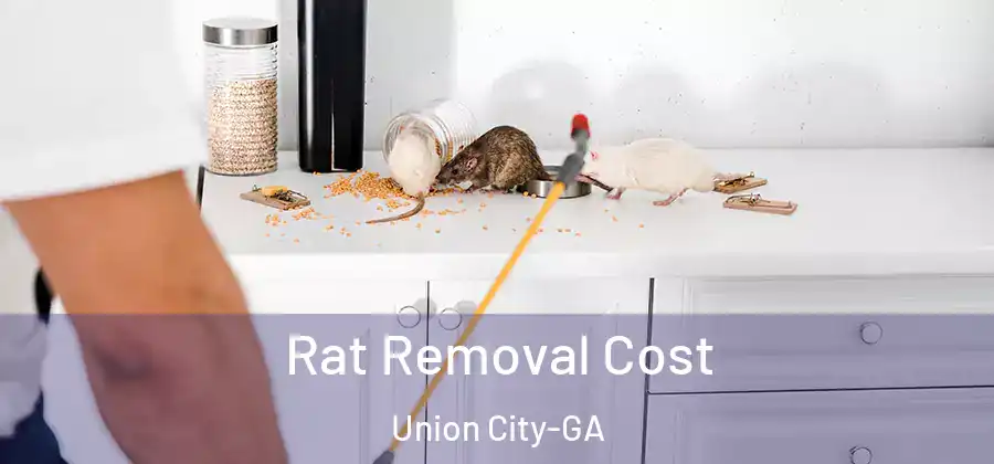 Rat Removal Cost Union City-GA