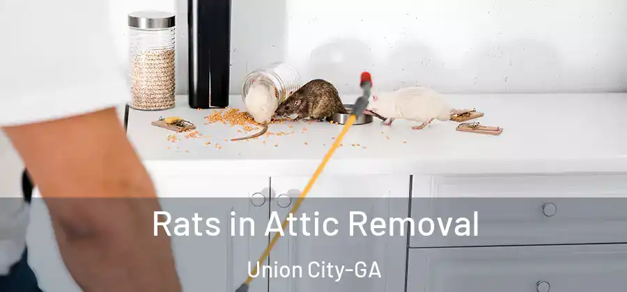  Rats in Attic Removal Union City-GA