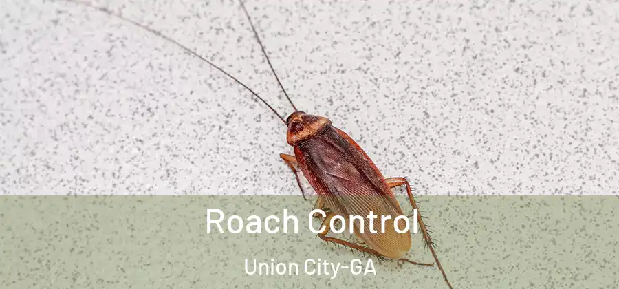 Roach Control Union City-GA