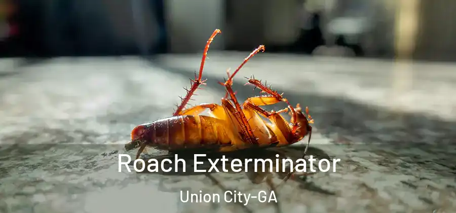 Roach Exterminator Union City-GA