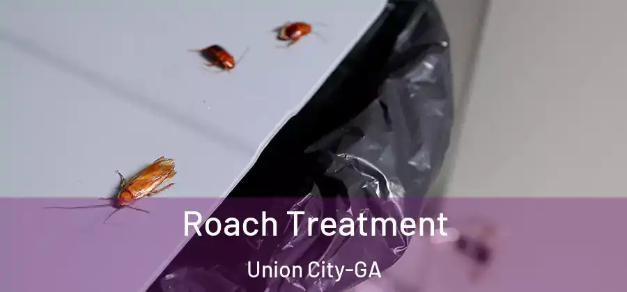 Roach Treatment Union City-GA