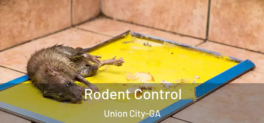 Rodent Control Union City-GA