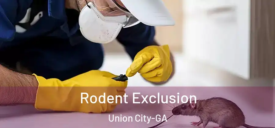Rodent Exclusion Union City-GA