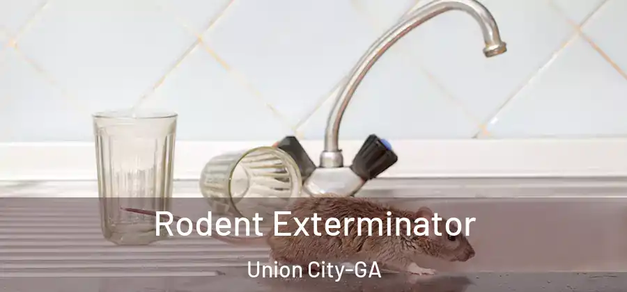 Rodent Exterminator Union City-GA