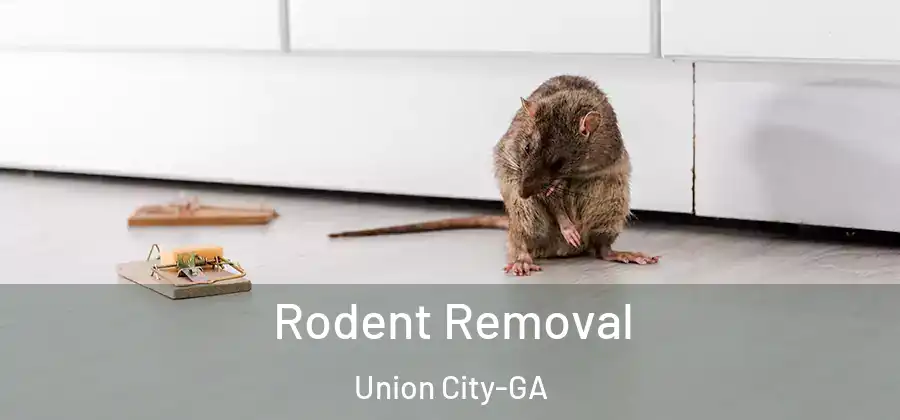 Rodent Removal Union City-GA