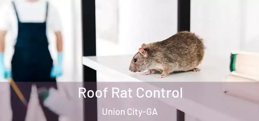  Roof Rat Control Union City-GA