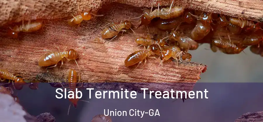 Slab Termite Treatment Union City-GA