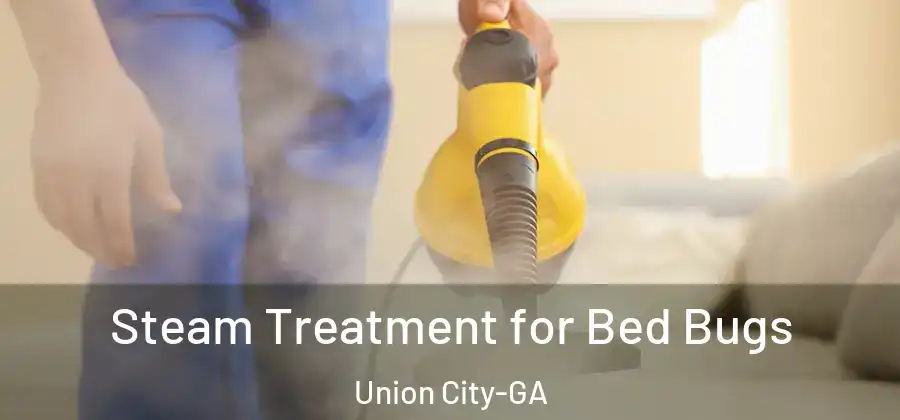 Steam Treatment for Bed Bugs Union City-GA