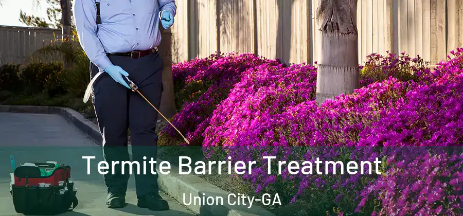  Termite Barrier Treatment Union City-GA