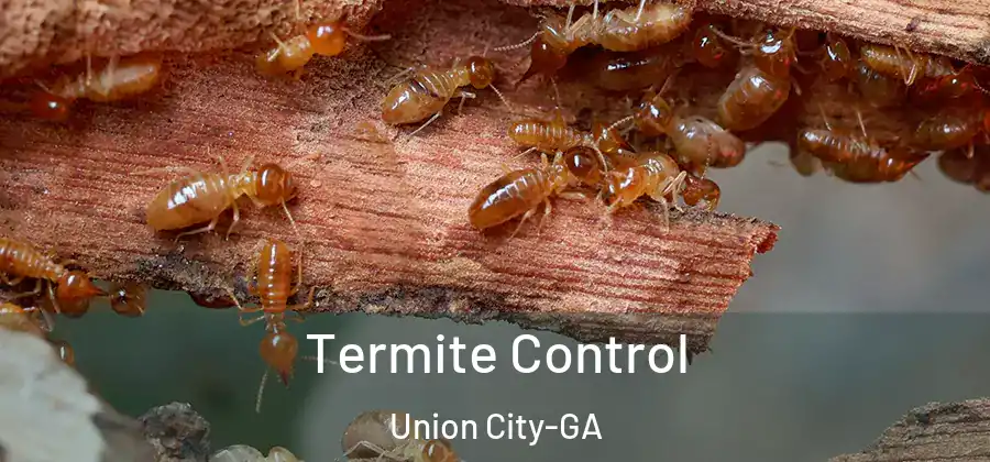 Termite Control Union City-GA