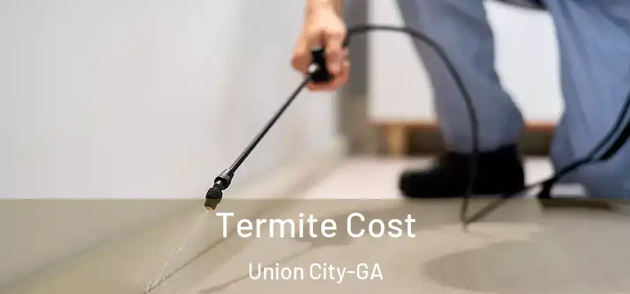 Termite Cost Union City-GA