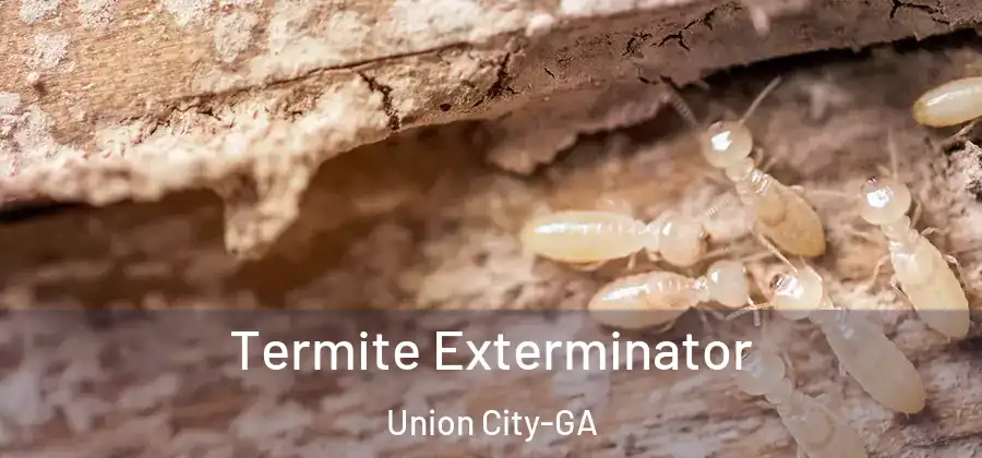 Termite Exterminator Union City-GA