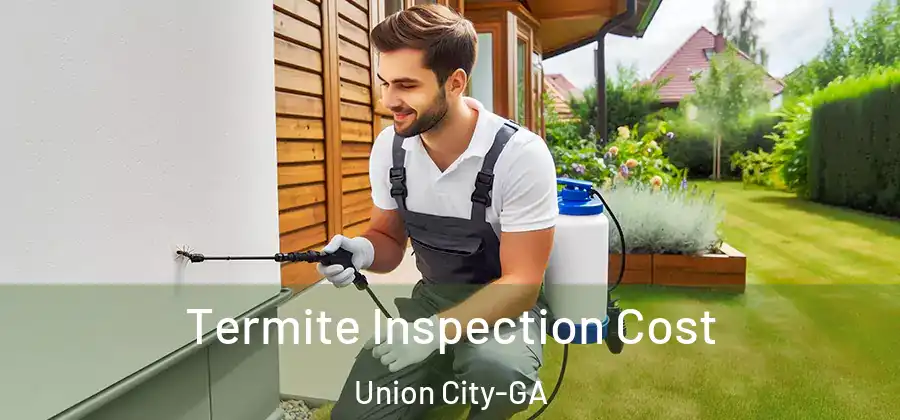Termite Inspection Cost Union City-GA