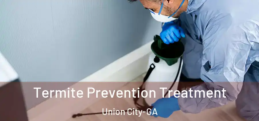  Termite Prevention Treatment Union City-GA