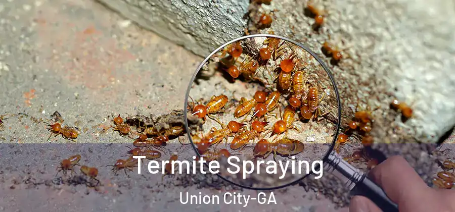 Termite Spraying Union City-GA