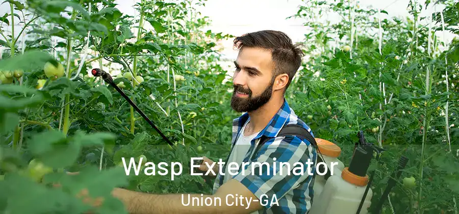 Wasp Exterminator Union City-GA