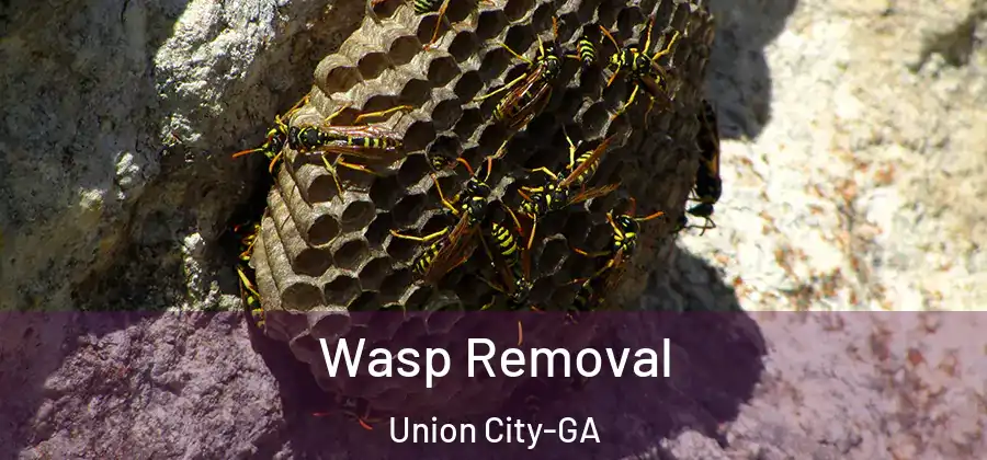 Wasp Removal Union City-GA