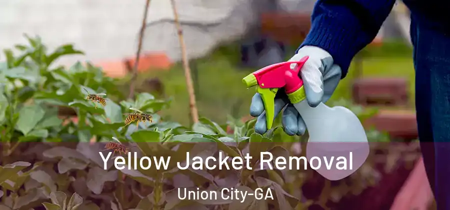 Yellow Jacket Removal Union City-GA